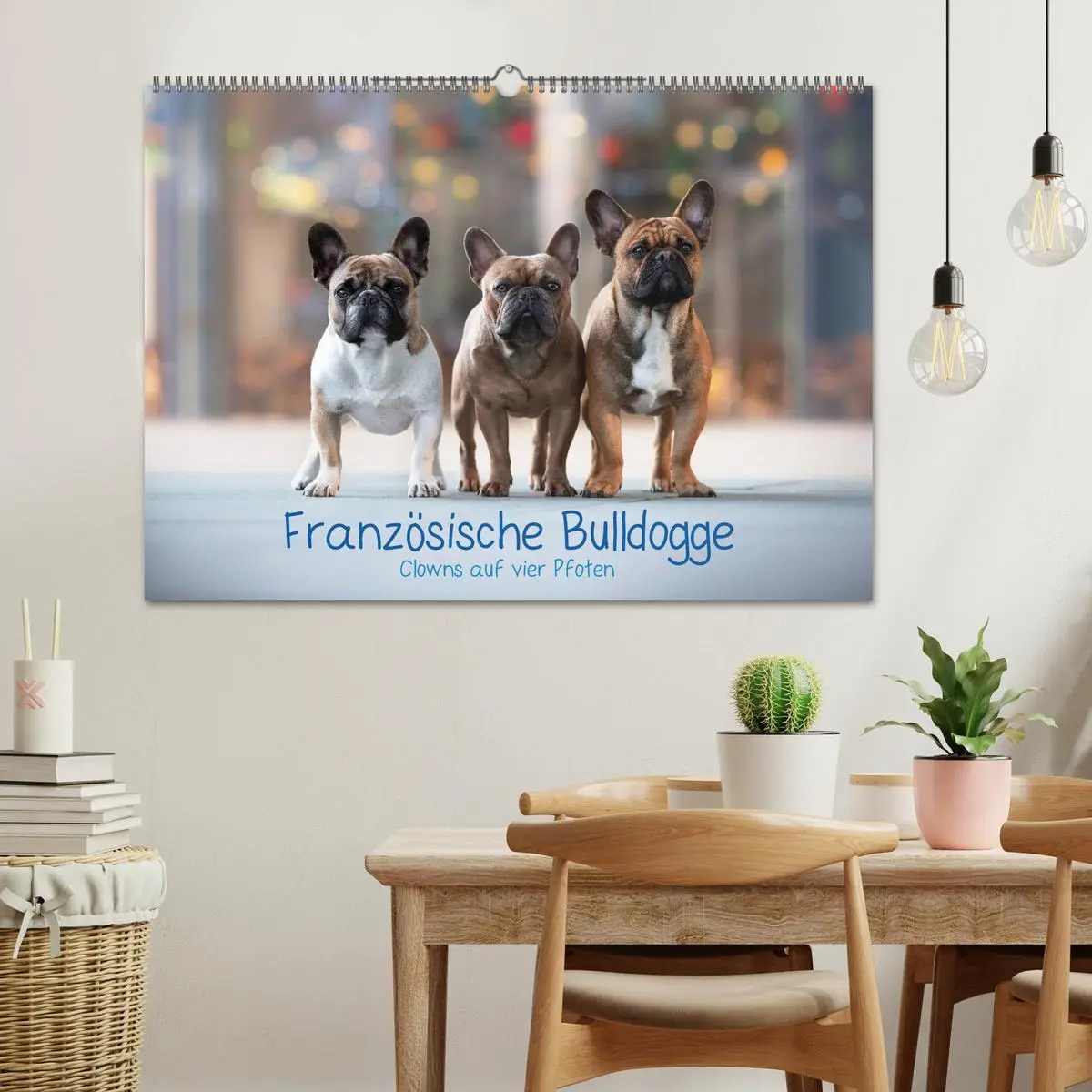 Bild: 9783457787045 | Französische Bulldogge - Clowns auf vier Pfoten (Wandkalender 2026...