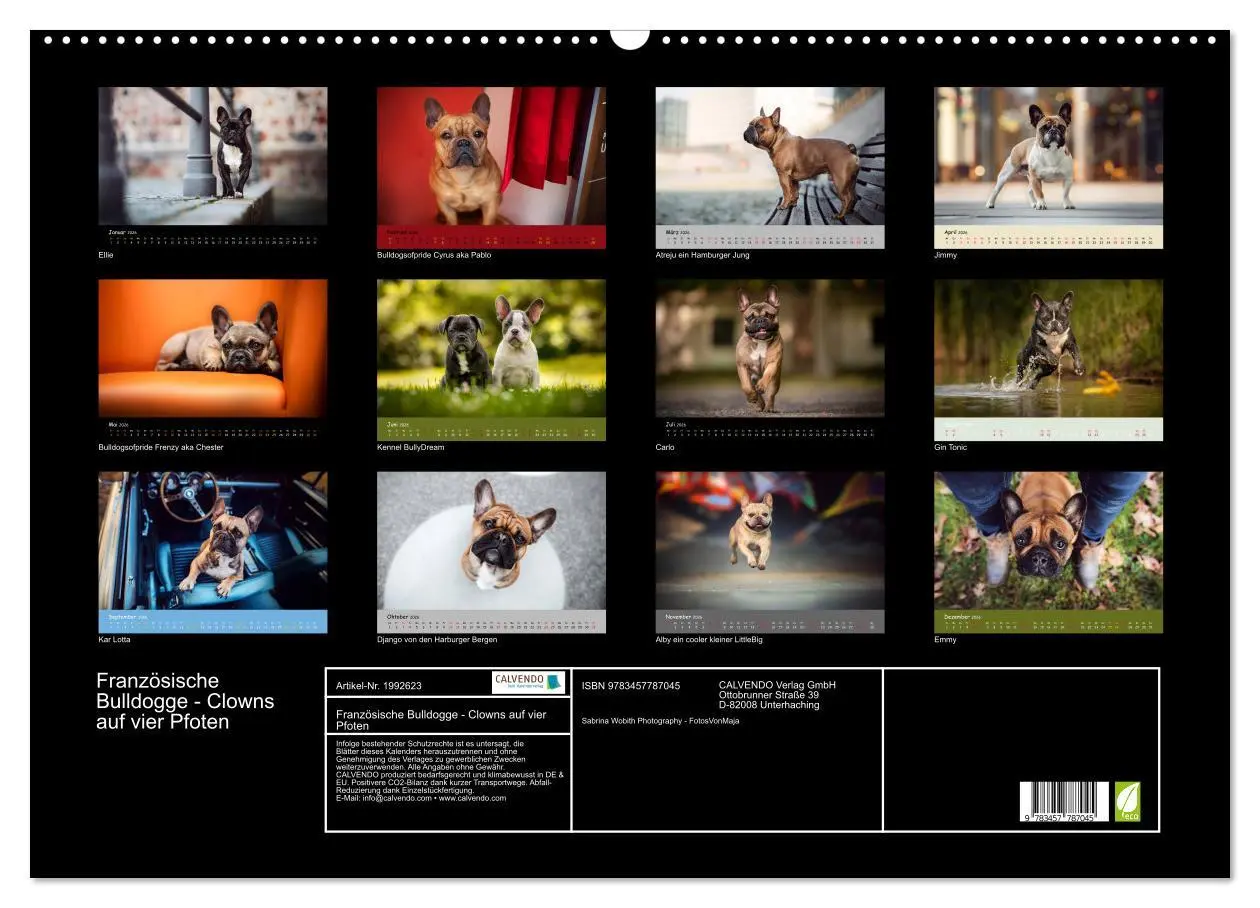 Bild: 9783457787045 | Französische Bulldogge - Clowns auf vier Pfoten (Wandkalender 2026...