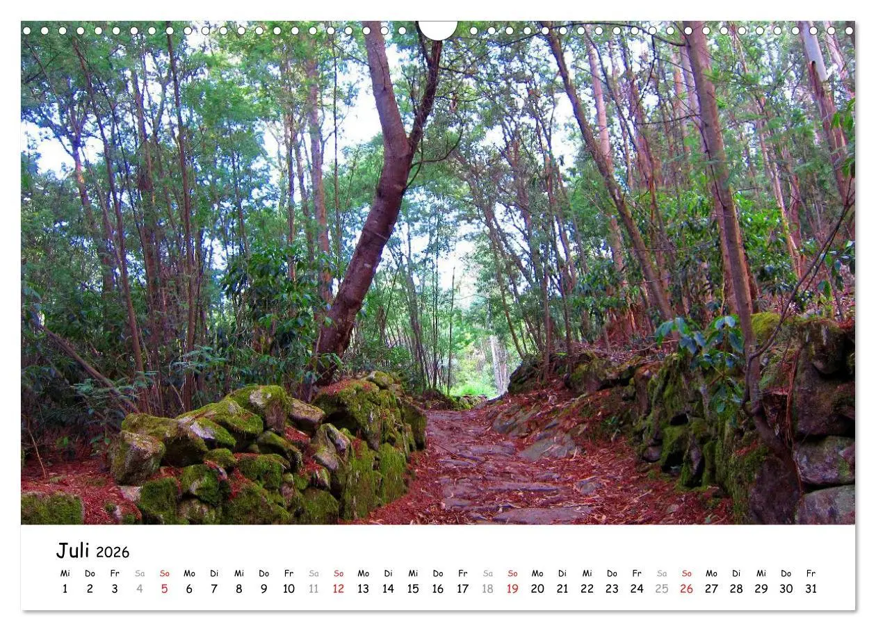 Bild: 9783516017045 | Jakobsweg - Camino Portugues (Wandkalender 2026 DIN A3 quer),...