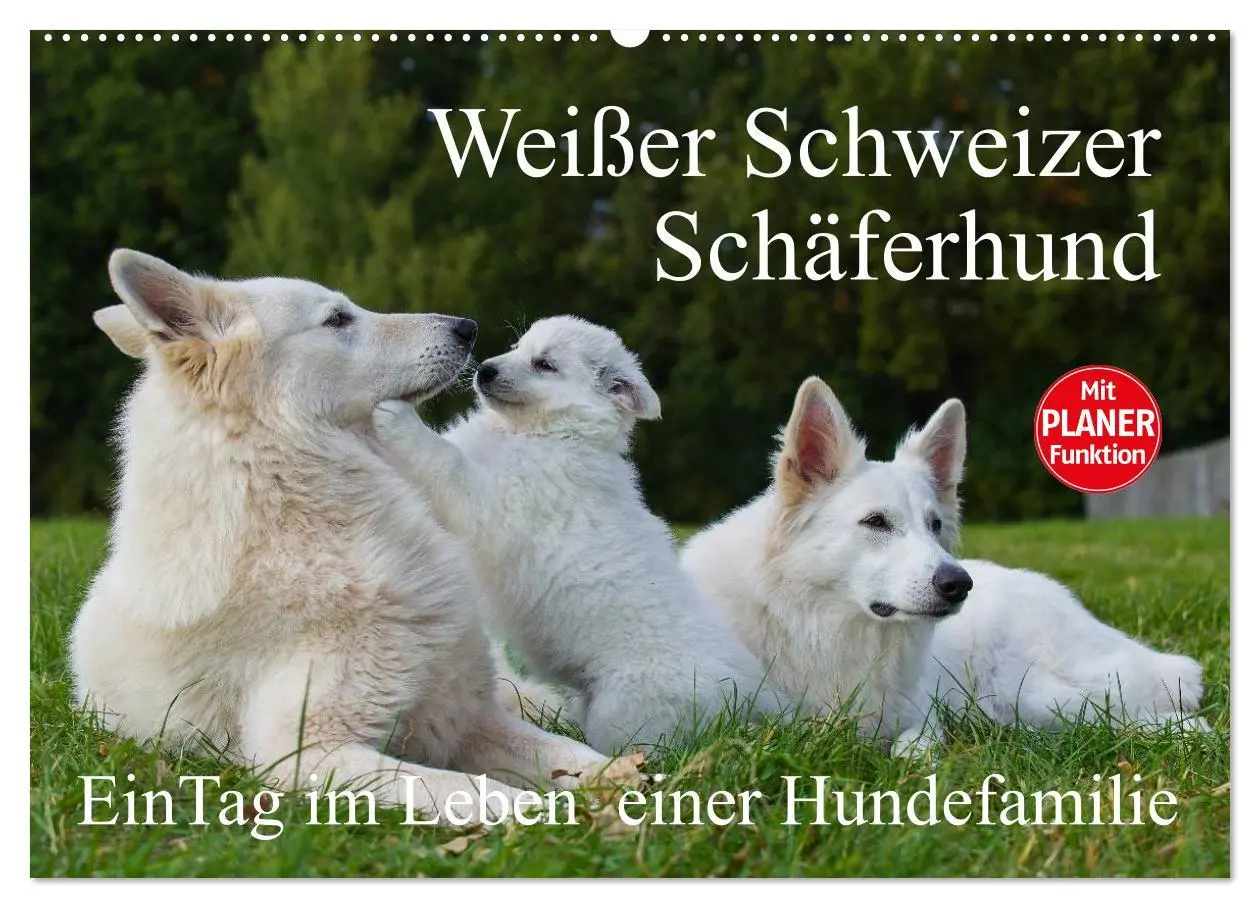 Cover: 9783516007145 | Weißer Schweizer Schäferhund - Ein Tag im Leben einer Hundefamilie...