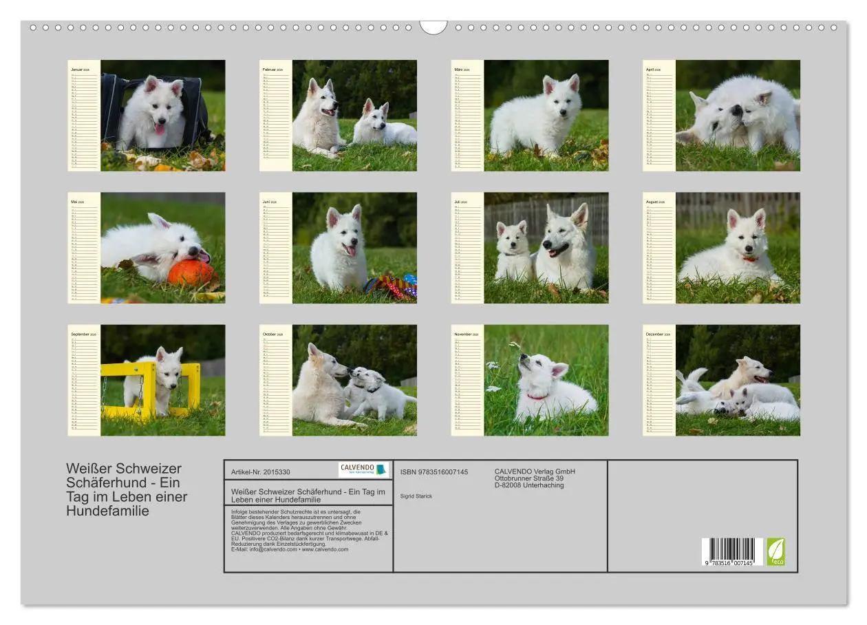 Bild: 9783516007145 | Weißer Schweizer Schäferhund - Ein Tag im Leben einer Hundefamilie...