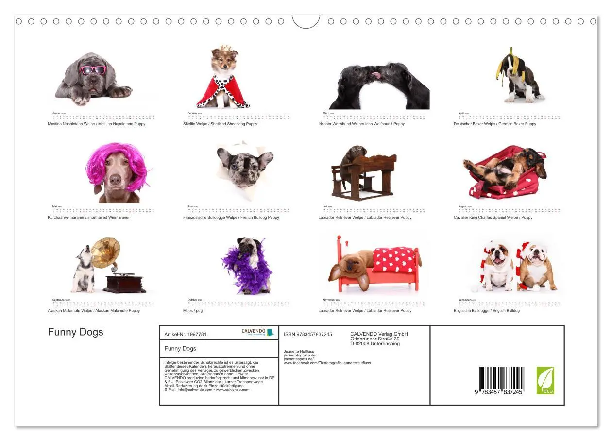 Bild: 9783457837245 | Funny Dogs (Wandkalender 2026 DIN A3 quer), CALVENDO Monatskalender