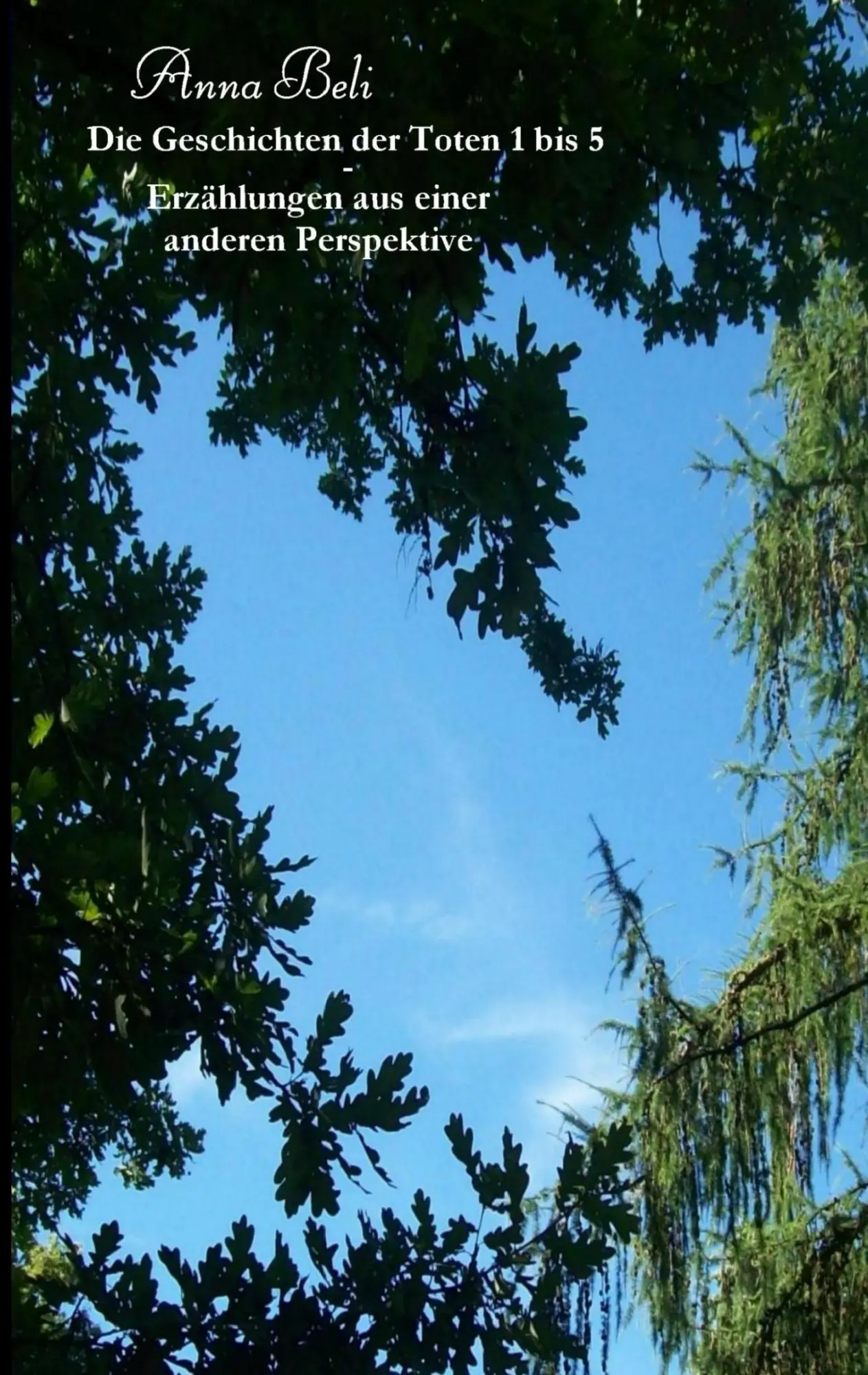 Cover: 9783738617245 | Die Geschichten der Toten 1 bis 5 - Erzählungen aus einer anderen...