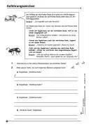 Bild: 9783866327245 | Lernwerkstatt 'Zeichensetzung kinderleicht' / Ausgabe SEK I | Deutsch
