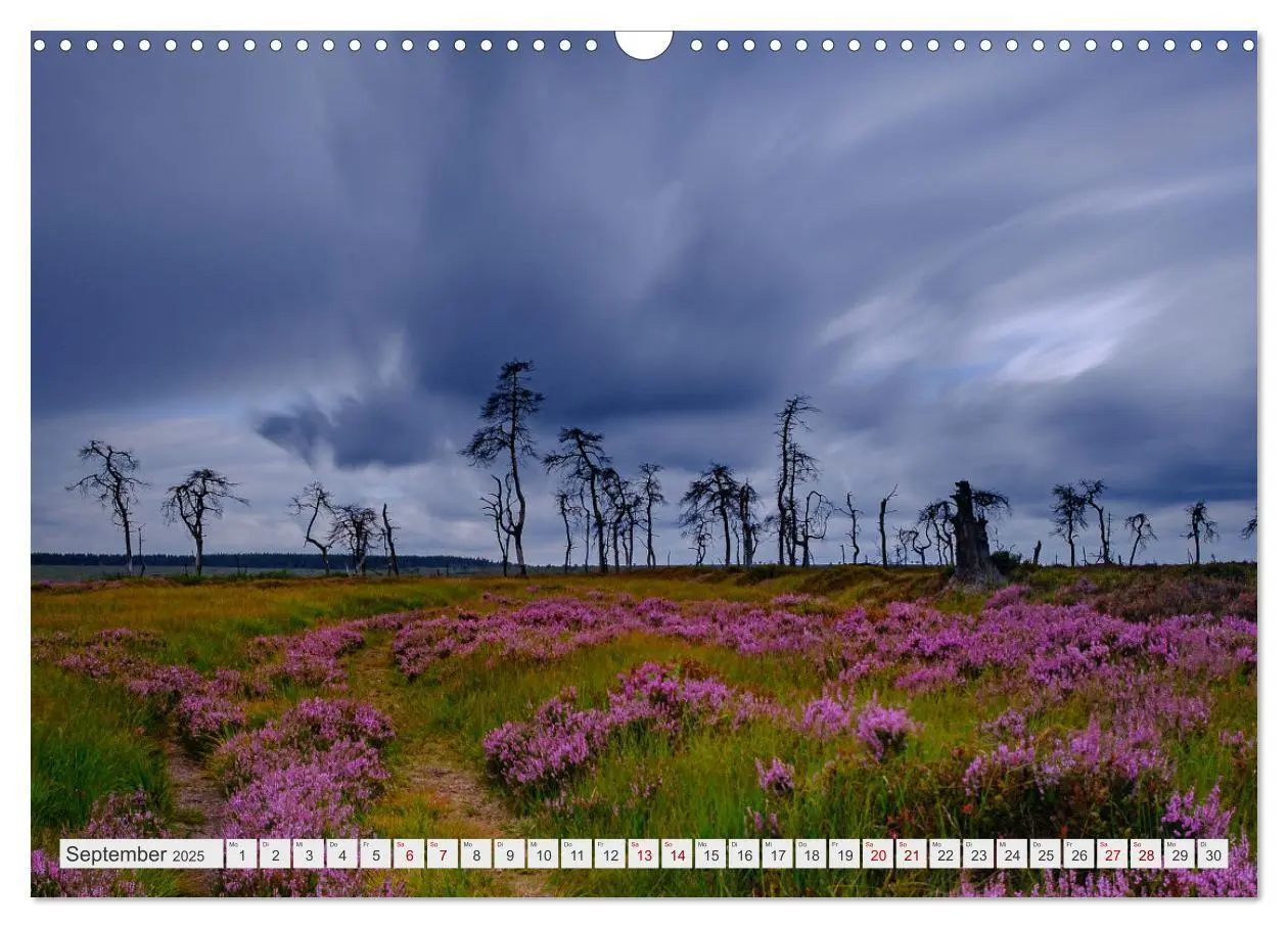 Bild: 9783383957345 | Traumlandschaft Hohes Venn (Wandkalender 2025 DIN A3 quer),...