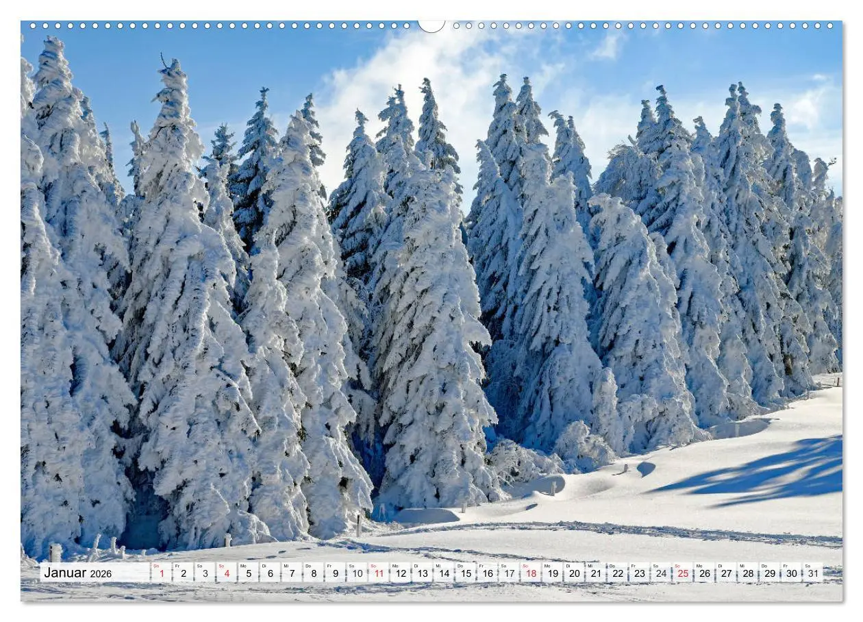 Bild: 9783457827345 | Winter. Zauberhafte Schneelandschaften (Wandkalender 2026 DIN A2...