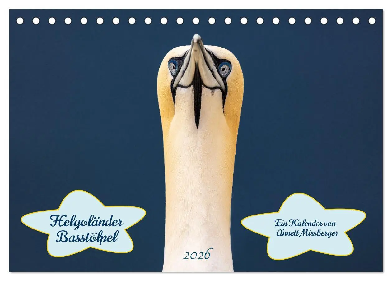 Cover: 9783457997345 | Helgoländer Basstölpel 2026 (Tischkalender 2026 DIN A5 quer),...