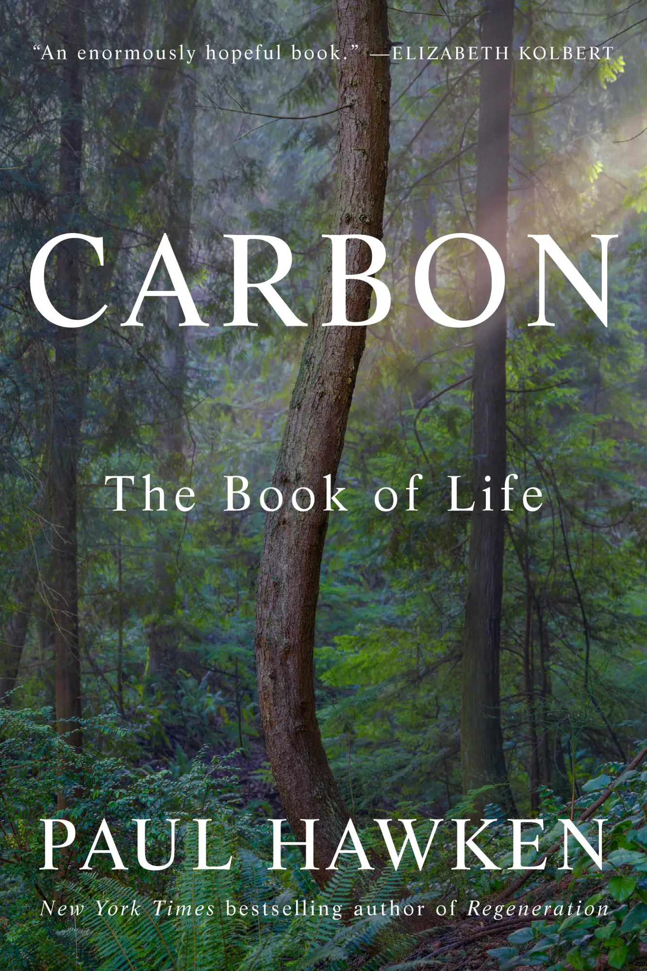 Cover: 9780525427445 | Carbon | The Book of Life | Paul Hawken | Buch | Englisch | 2025