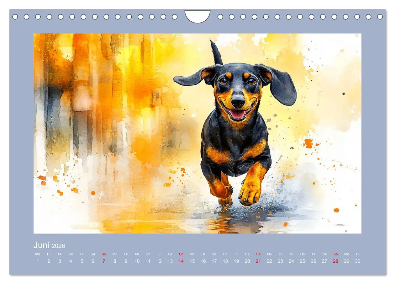 Bild: 9783457297445 | Dackelzauber. Charmante Begleiter im lieblichen Aquarell-Stil...