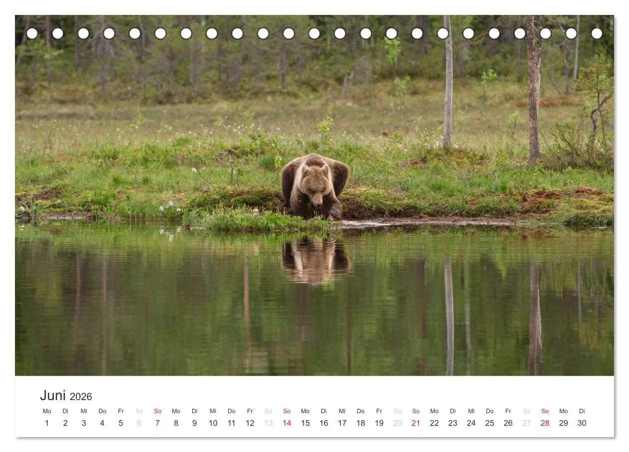 Bild: 9783516077445 | Naturparadies Finnland (Tischkalender 2026 DIN A5 quer), CALVENDO...