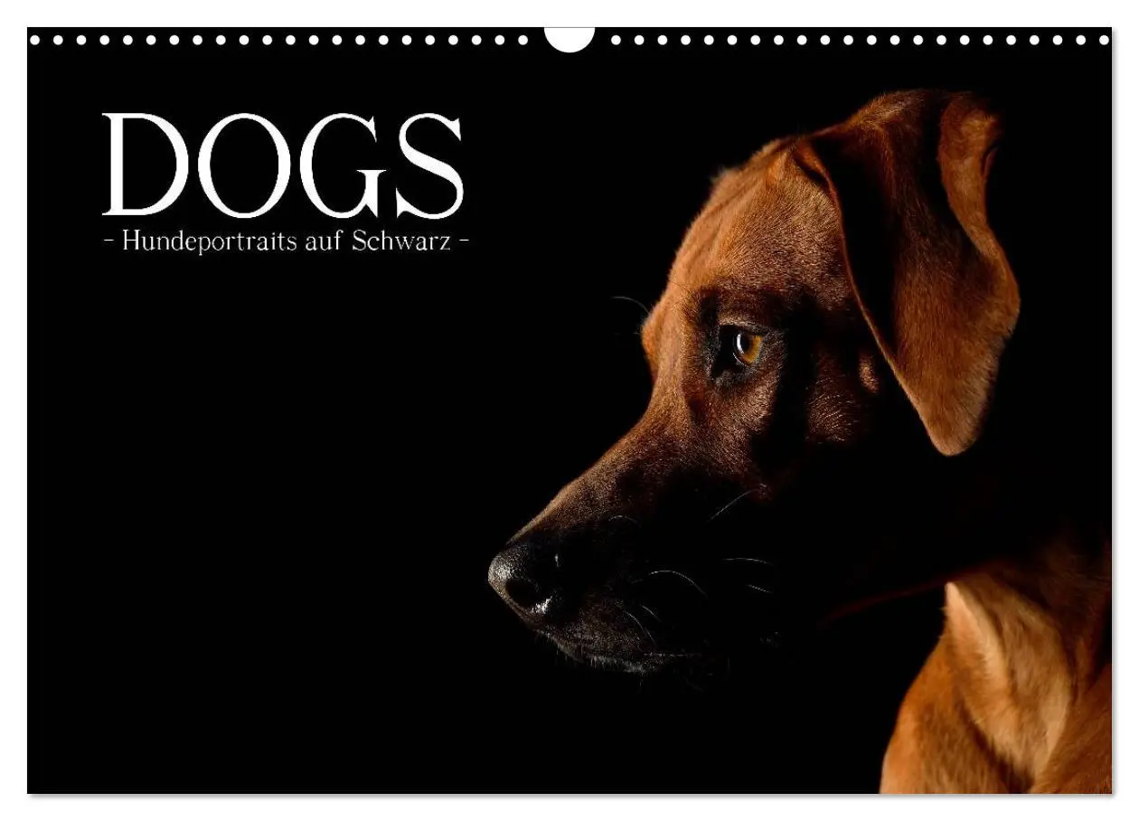 Cover: 9783516147445 | Dogs (Wandkalender 2026 DIN A3 quer), CALVENDO Monatskalender | Noack