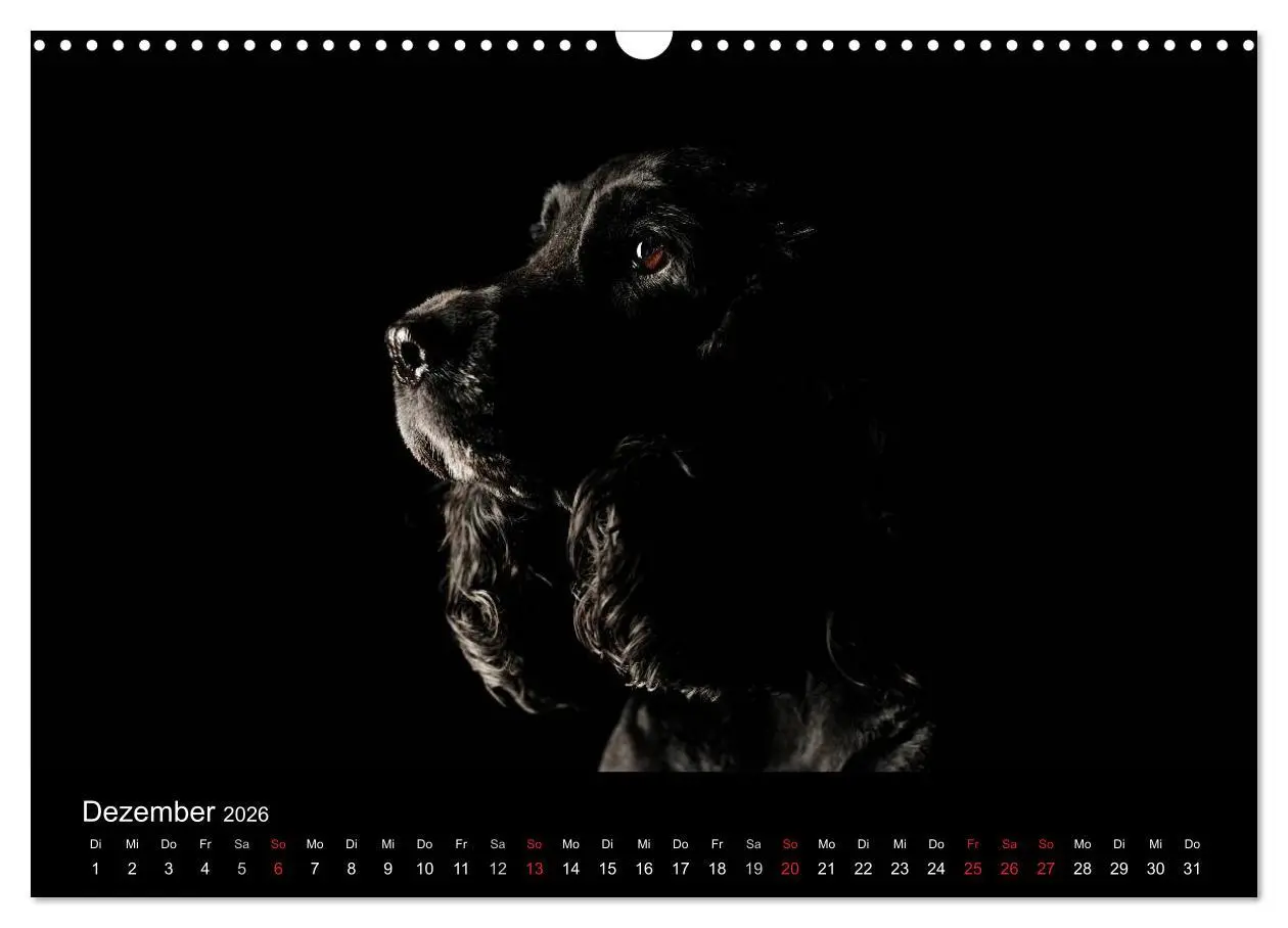 Bild: 9783516147445 | Dogs (Wandkalender 2026 DIN A3 quer), CALVENDO Monatskalender | Noack