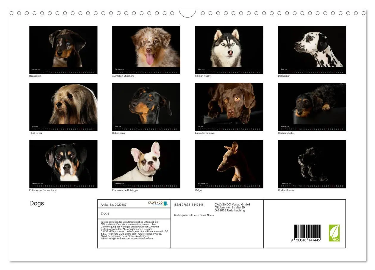 Bild: 9783516147445 | Dogs (Wandkalender 2026 DIN A3 quer), CALVENDO Monatskalender | Noack