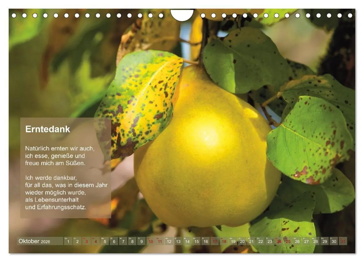Bild: 9783516697445 | Im Rhythmus der Jahreszeiten und des Kirchenjahres (Wandkalender...