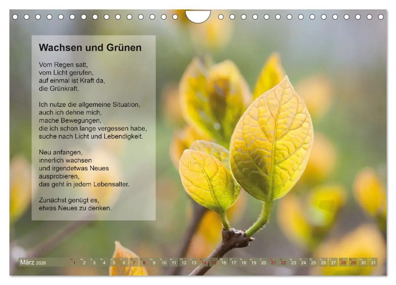 Bild: 9783516697445 | Im Rhythmus der Jahreszeiten und des Kirchenjahres (Wandkalender...