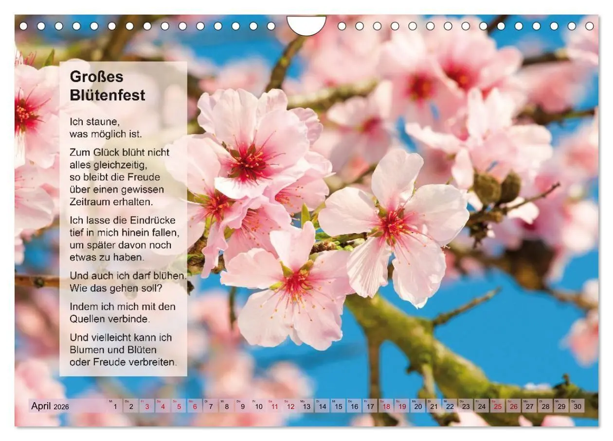 Bild: 9783516697445 | Im Rhythmus der Jahreszeiten und des Kirchenjahres (Wandkalender...