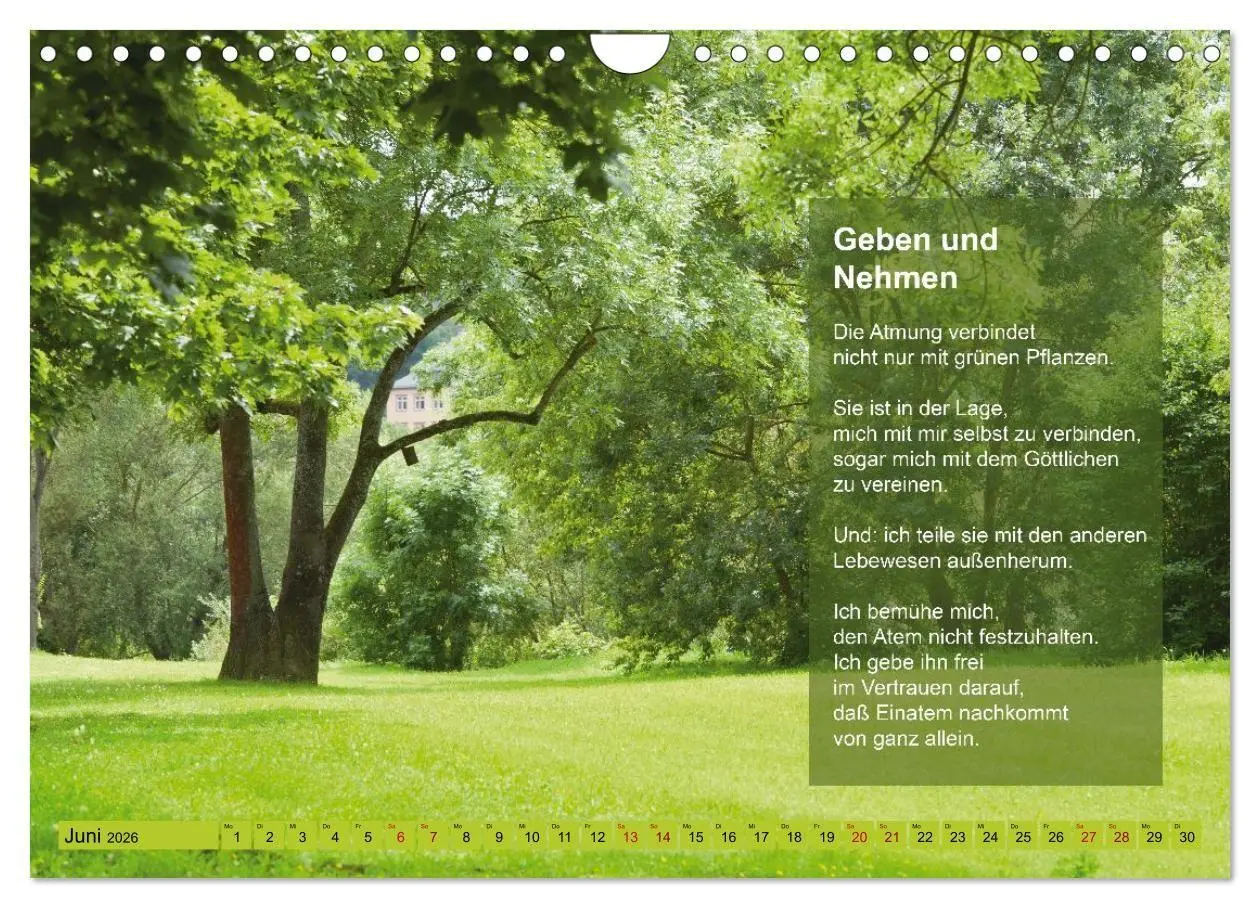 Bild: 9783516697445 | Im Rhythmus der Jahreszeiten und des Kirchenjahres (Wandkalender...