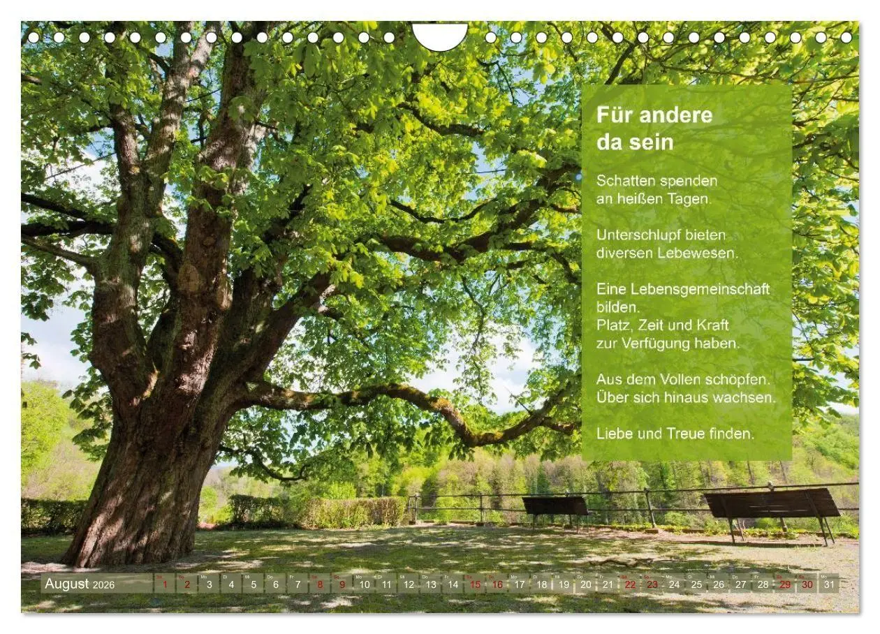 Bild: 9783516697445 | Im Rhythmus der Jahreszeiten und des Kirchenjahres (Wandkalender...