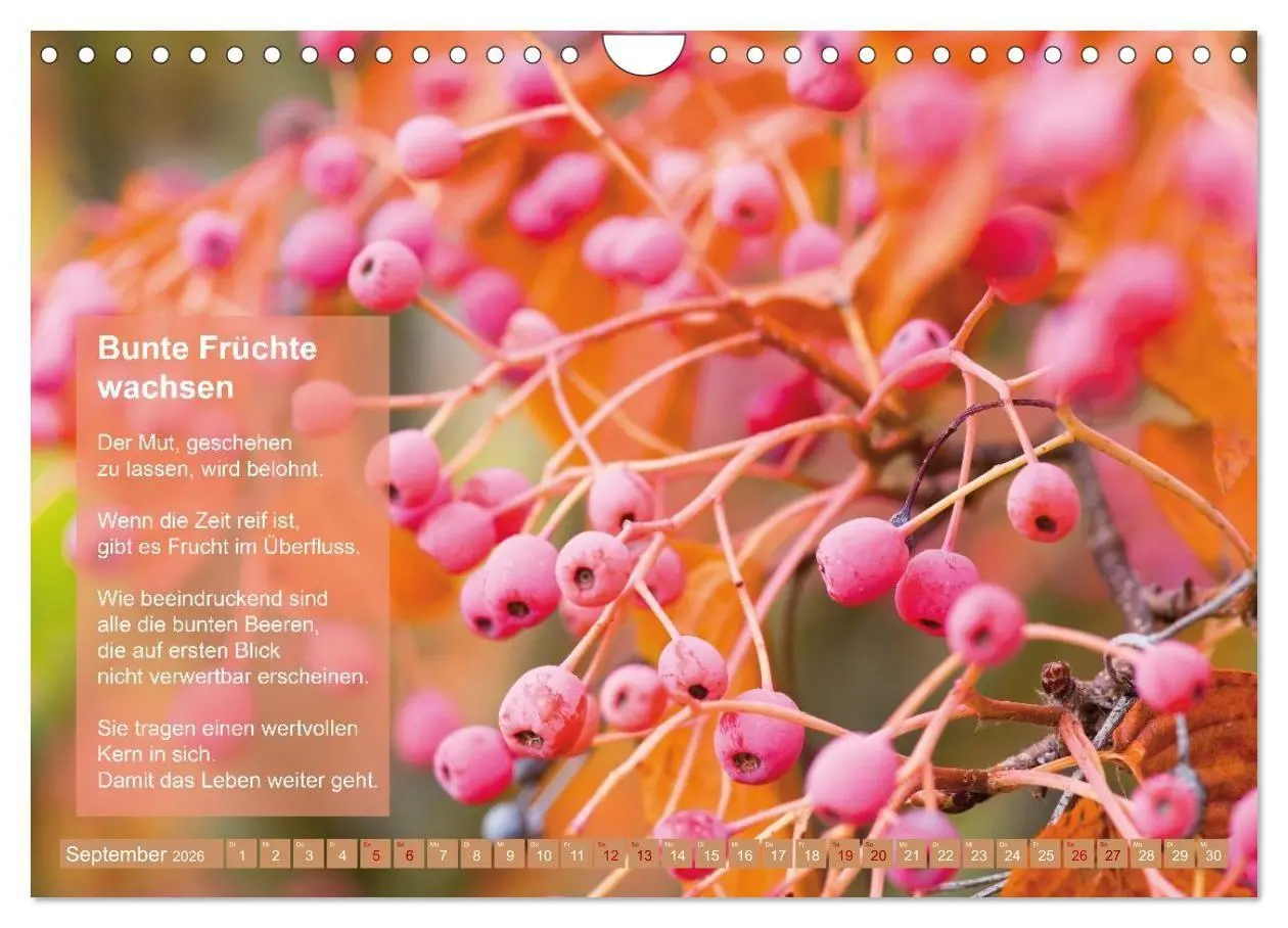 Bild: 9783516697445 | Im Rhythmus der Jahreszeiten und des Kirchenjahres (Wandkalender...