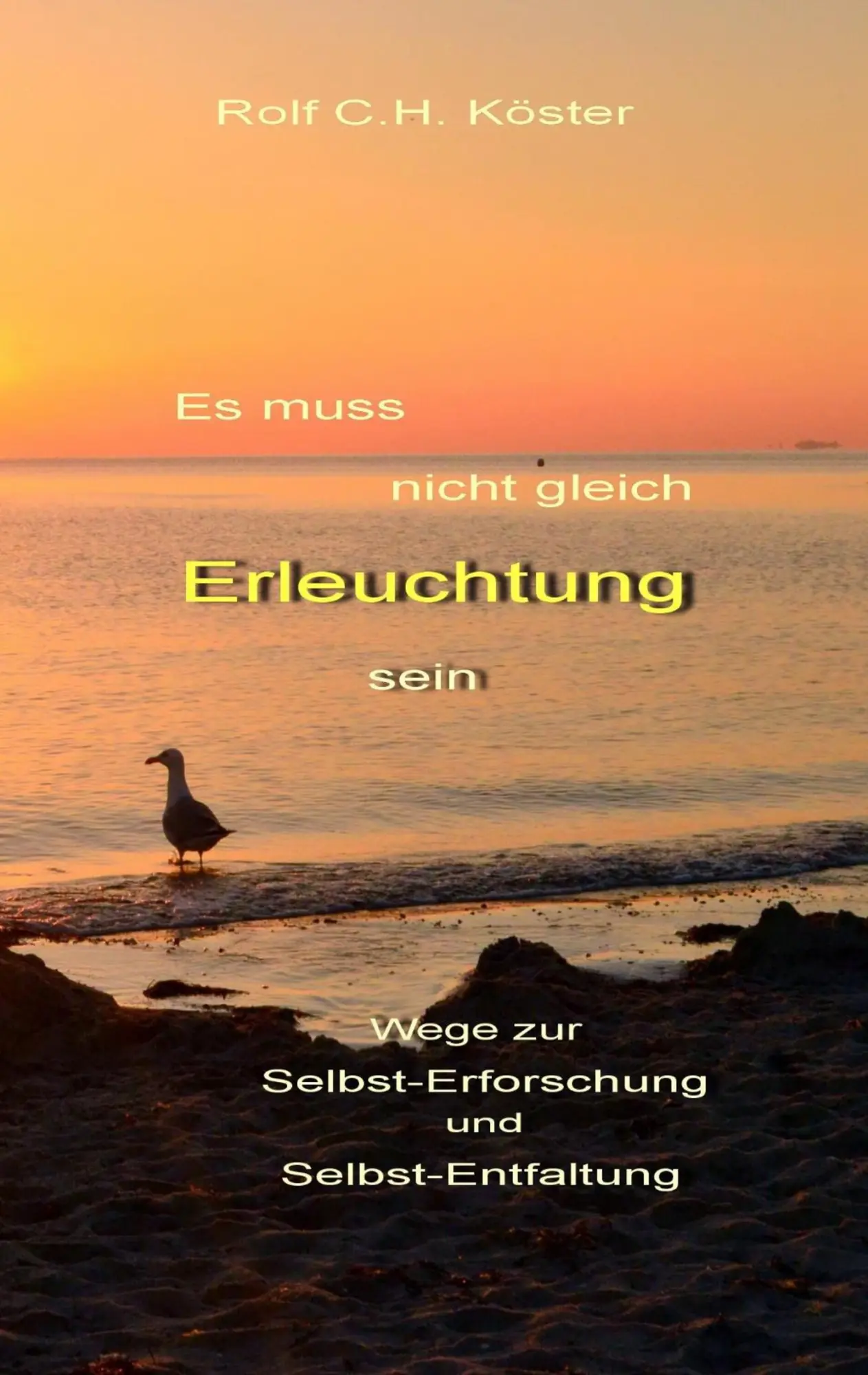 Cover: 9783739207445 | Es muss nicht gleich Erleuchtung sein | Rolf C. H. Köster | Buch
