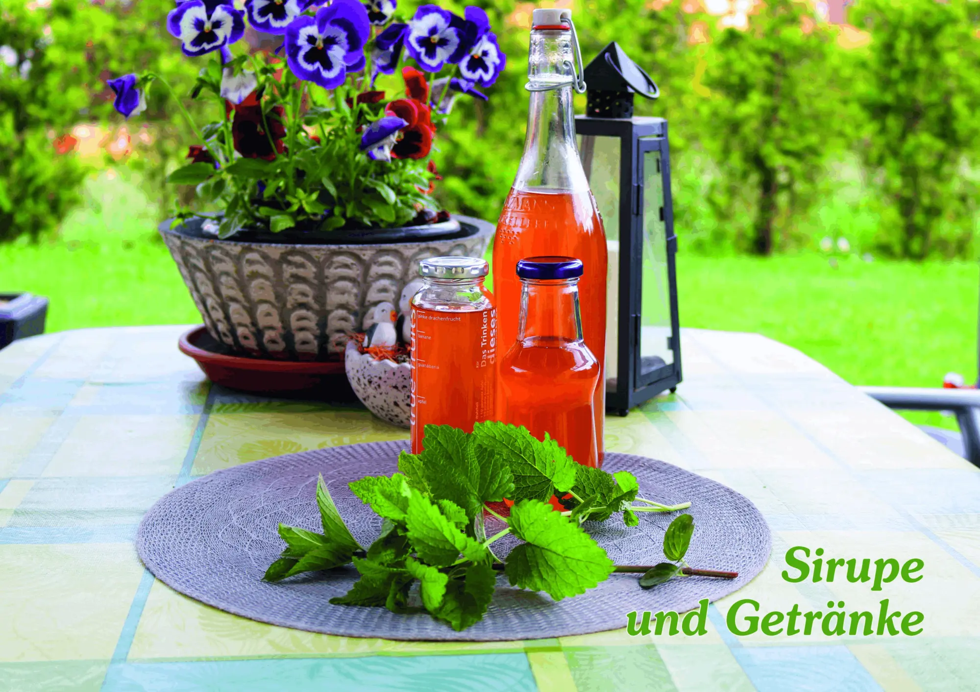 Bild: 9783969677445 | Einfach einkochen &amp; fermentieren | Ljuba Fitze | Buch | 272 S. | 2026