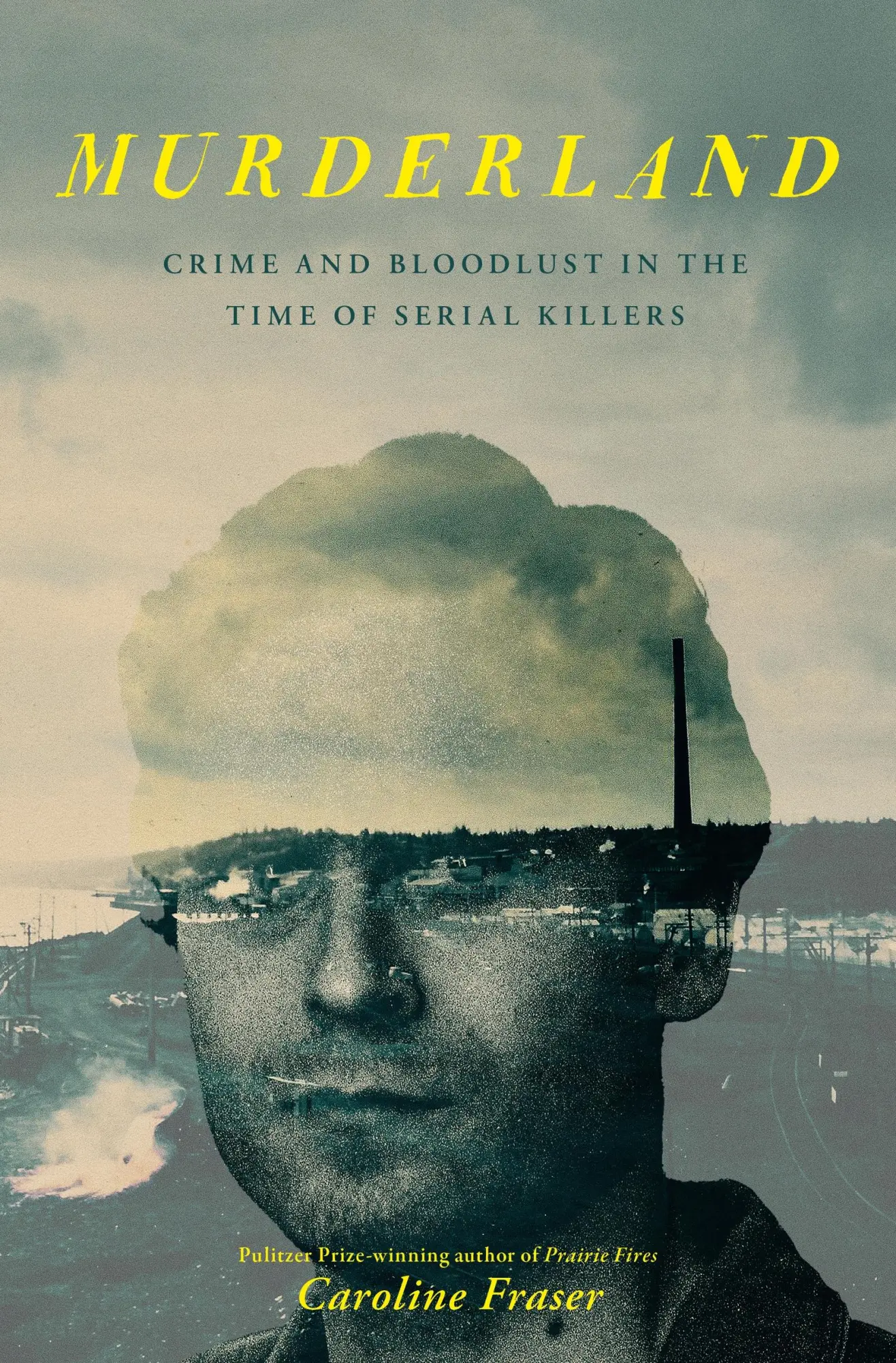 Cover: 9780349127545 | Murderland | Crime and Bloodlust in the Time of Serial Killers | Buch