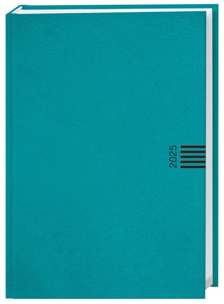 Cover: 9783756407545 | Tages-Cheftimer A6, petrol 2025 | Kalender | Kalender | Deutsch | 2025