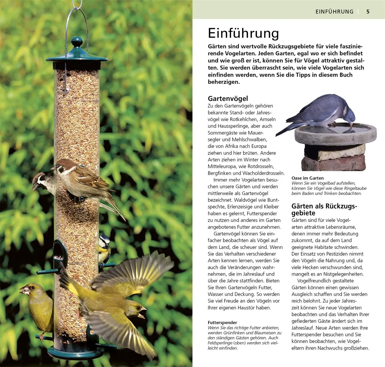 Bild: 9783831027545 | Gartenvögel beobachten und bestimmen | Mark Ward | Taschenbuch | 2015