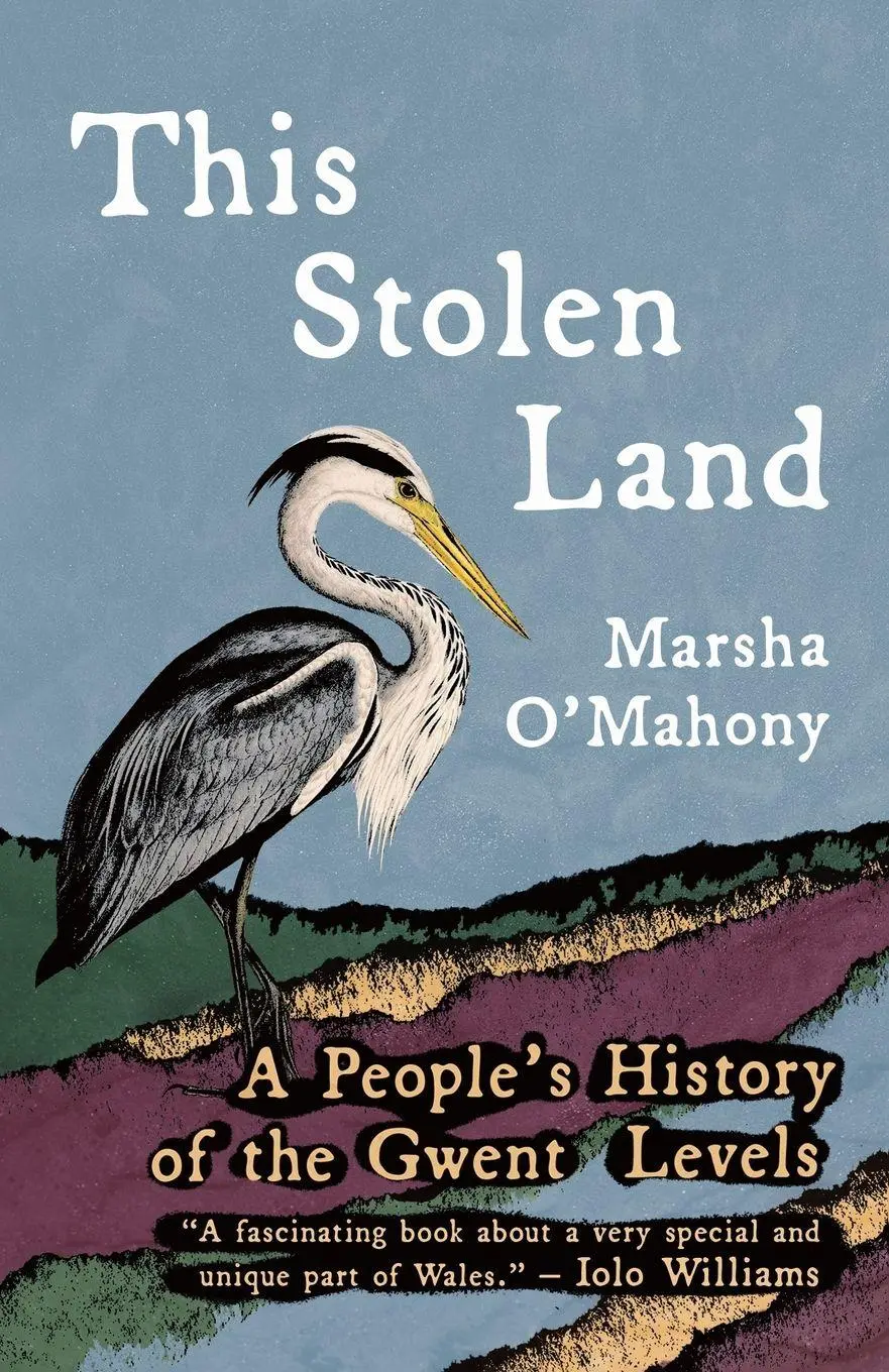 Cover: 9781781727645 | This Stolen Land | A People's History of the Gwent Levels | O'Mahony