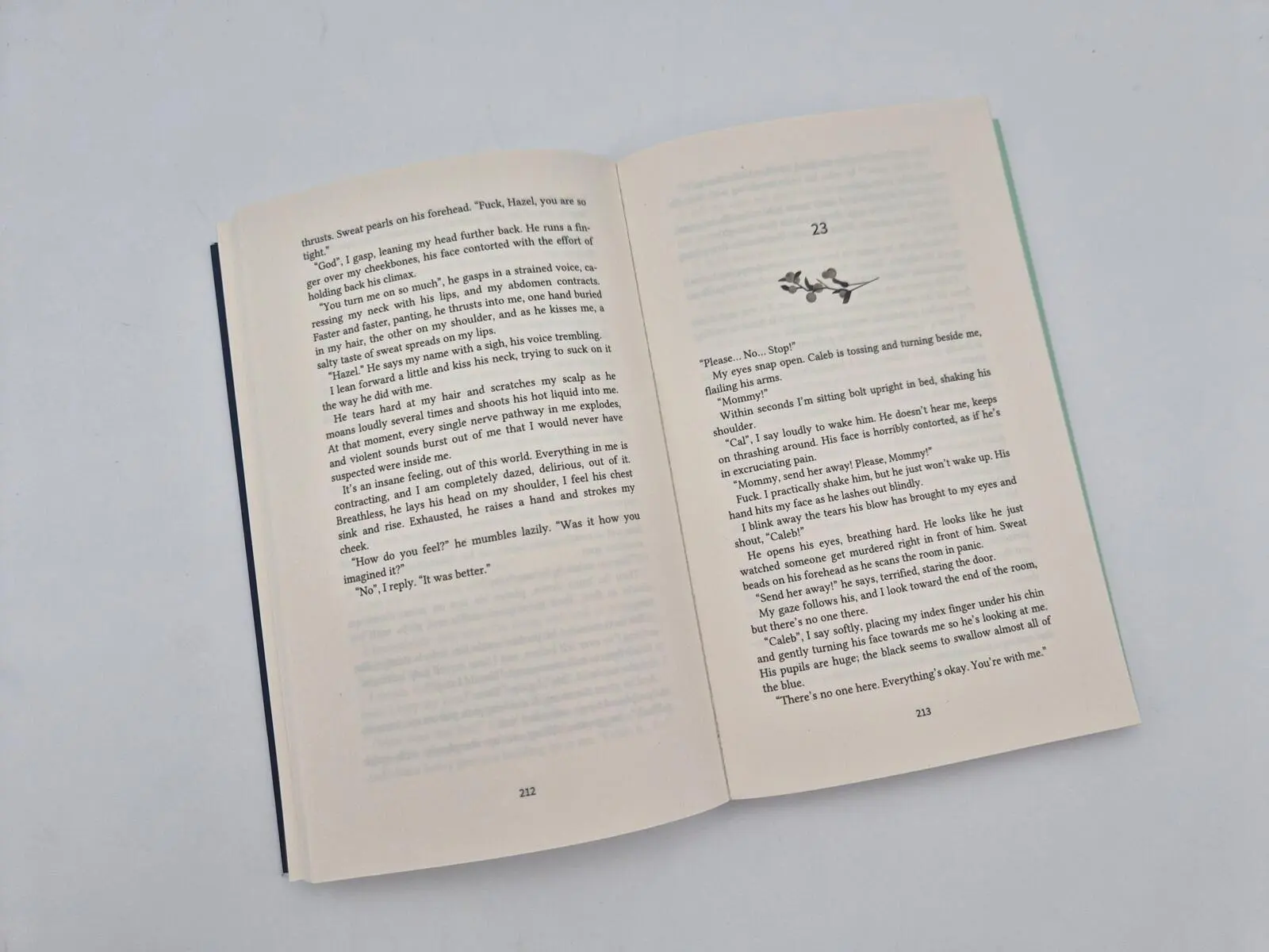 Bild: 9783492067645 | Hidden Scars (English Edition) | Ayla Dade | Taschenbuch | 352 S.