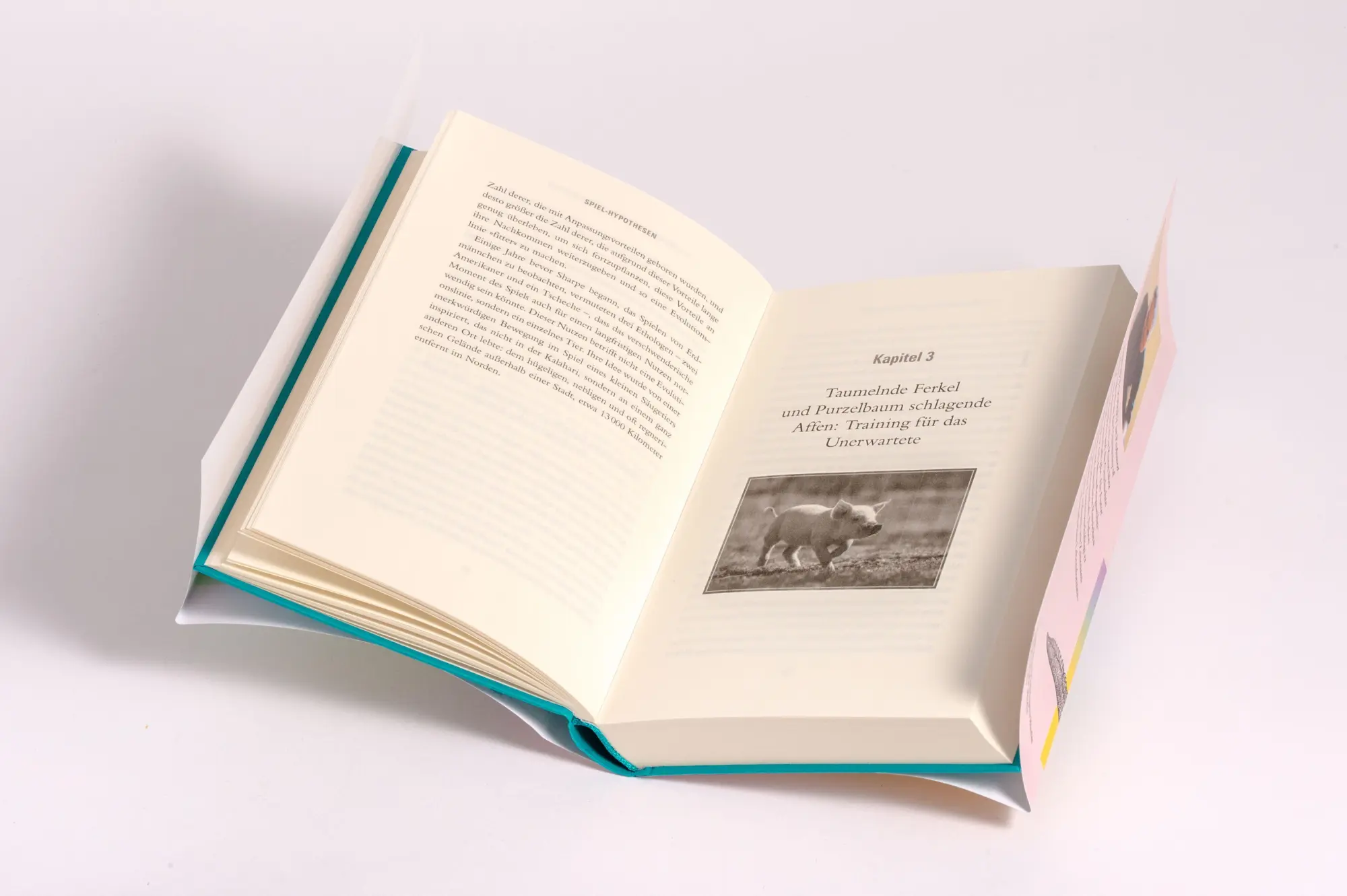 Bild: 9783442317745 | Das faszinierende Spiel der Tiere | David Toomey | Buch | 320 S.