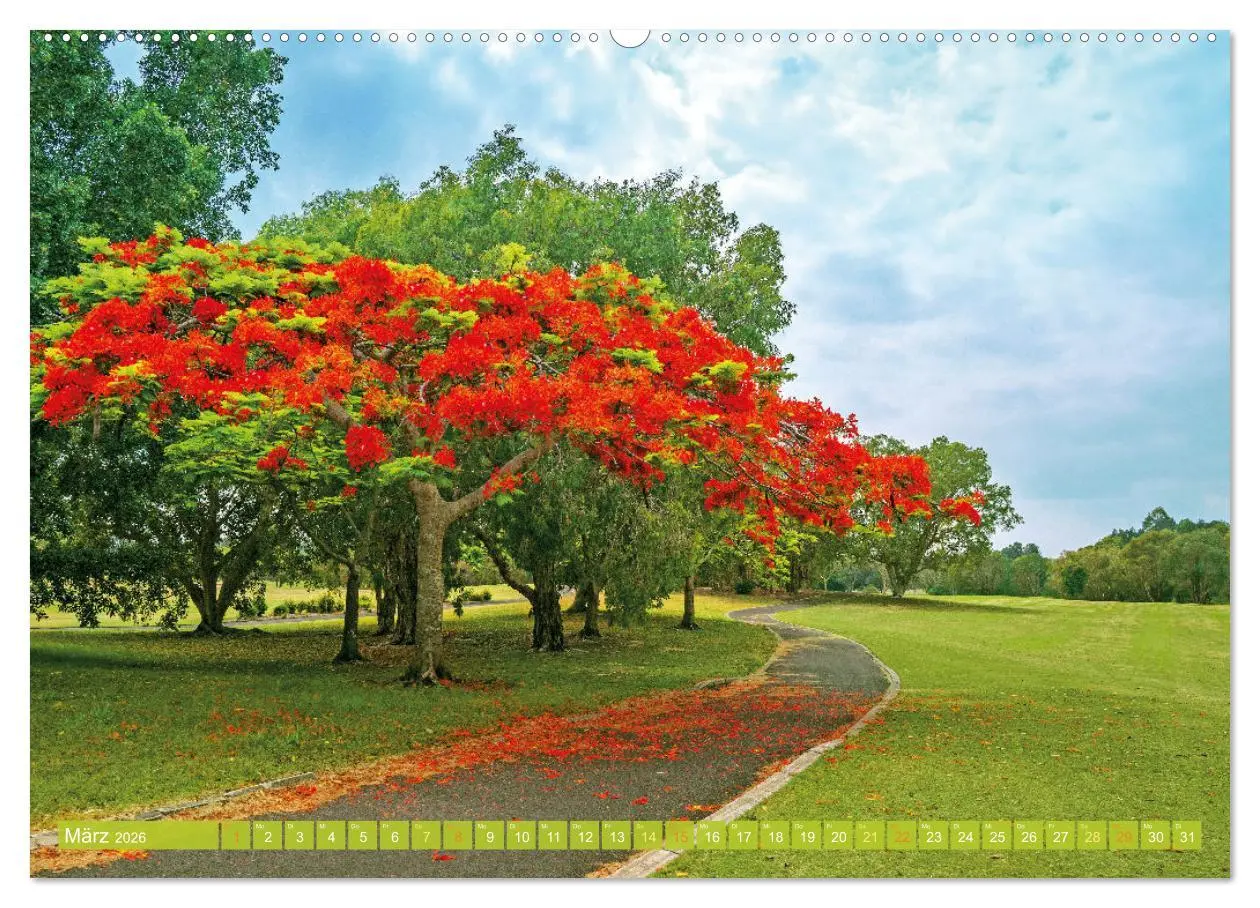 Bild: 9783516597745 | Einladung zum Golf (Wandkalender 2026 DIN A2 quer), CALVENDO...
