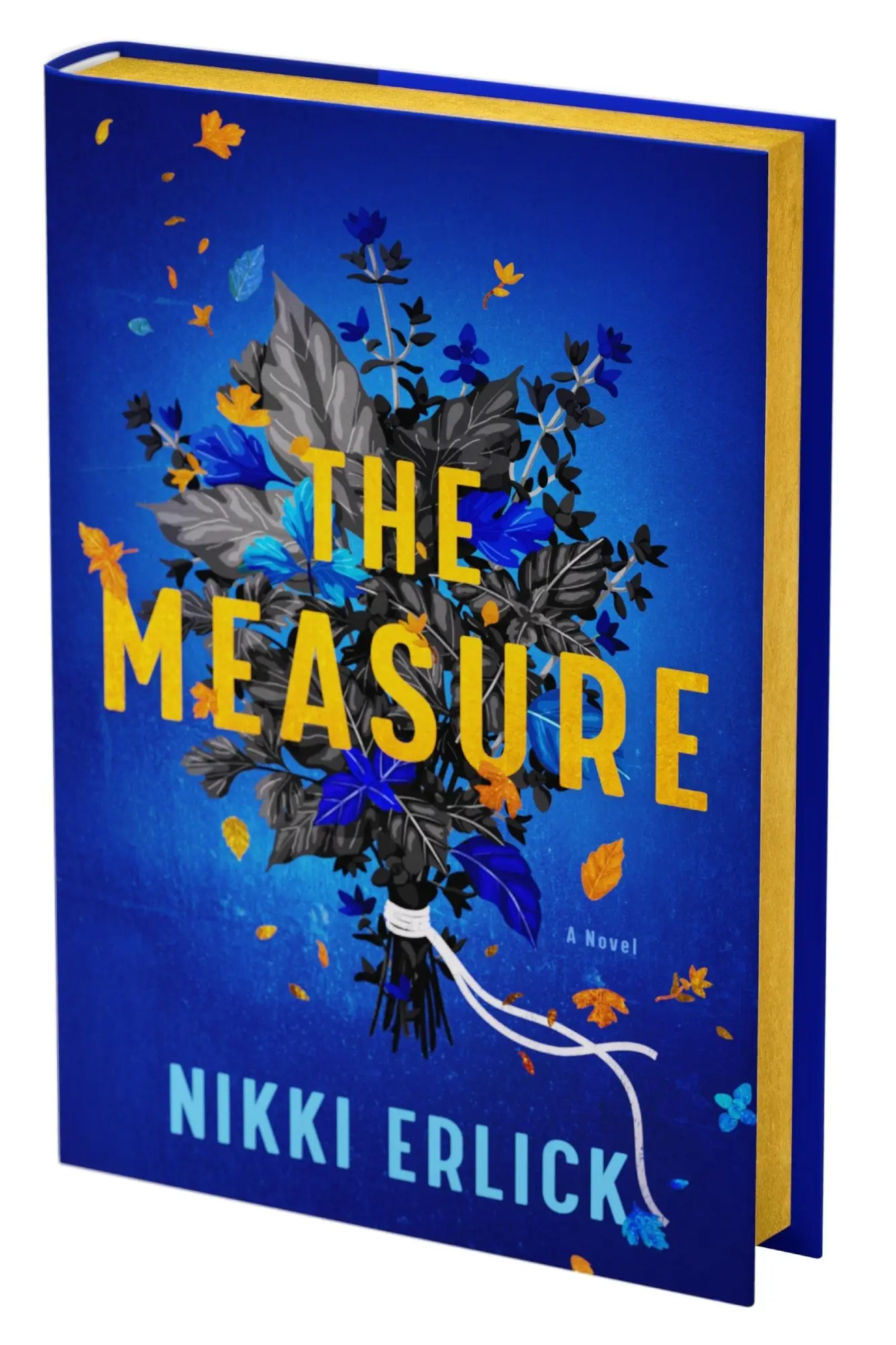 Cover: 9780063437845 | The Measure Deluxe Collector's Edition | A Novel | Nikki Erlick | Buch