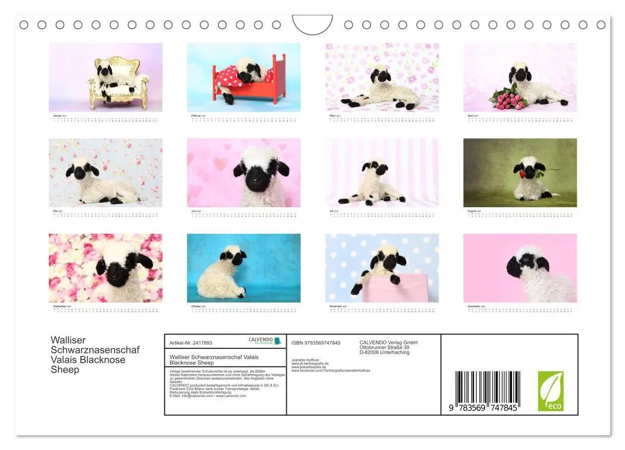 Bild: 9783569747845 | Walliser Schwarznasenschaf Valais Blacknose Sheep (Wandkalender...
