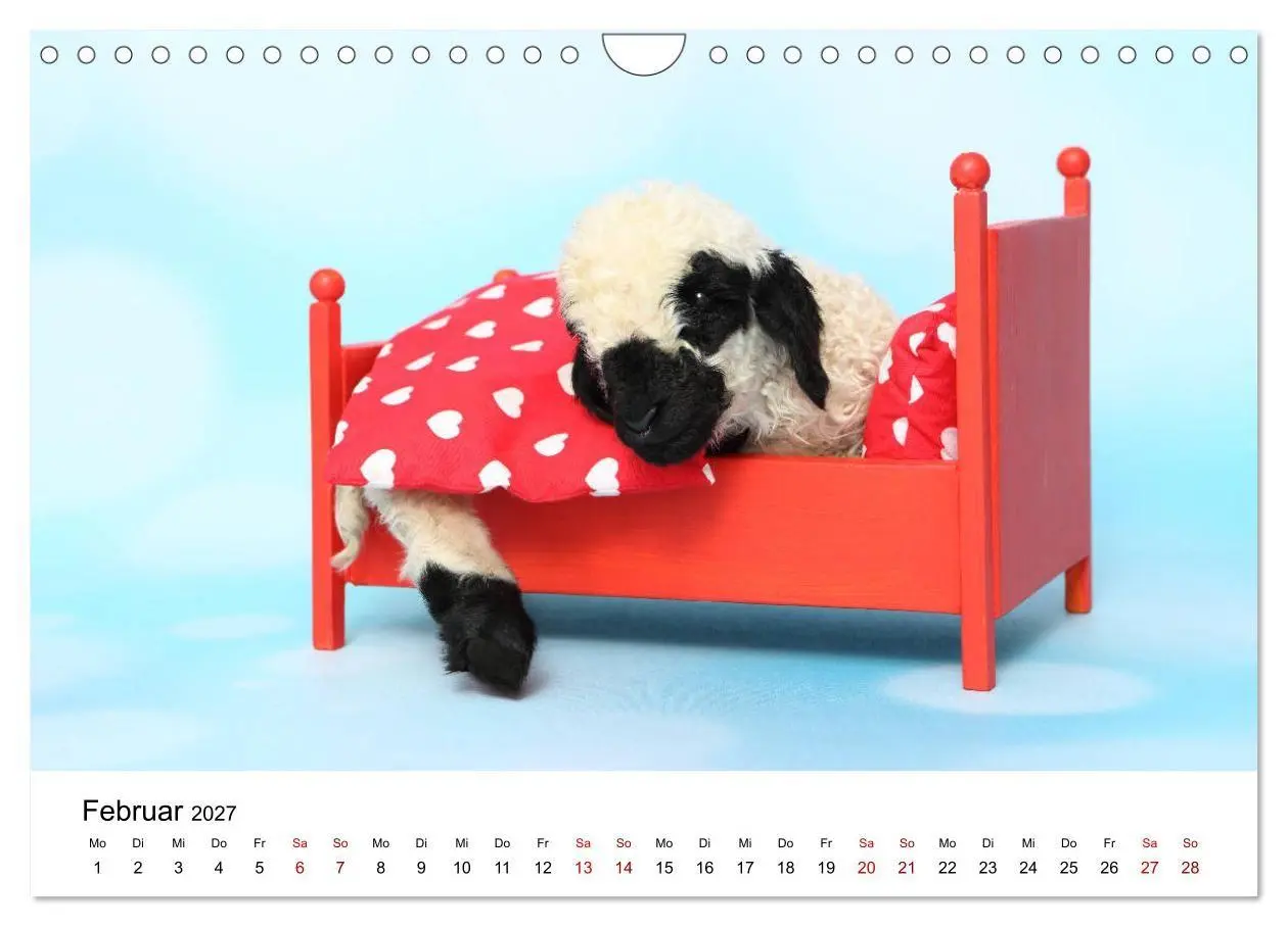 Bild: 9783569747845 | Walliser Schwarznasenschaf Valais Blacknose Sheep (Wandkalender...