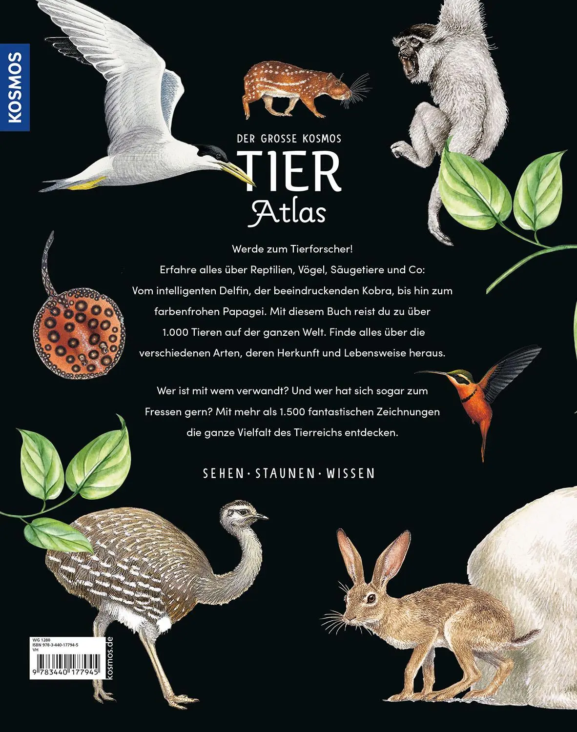 Rückseite: 9783440177945 | Der große Kosmos Tieratlas | Buch | 192 S. | Deutsch | 2024
