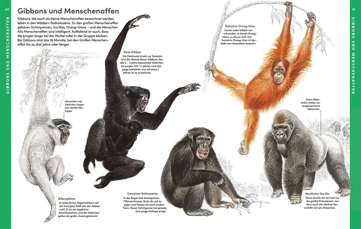 Bild: 9783440177945 | Der große Kosmos Tieratlas | Buch | 192 S. | Deutsch | 2024