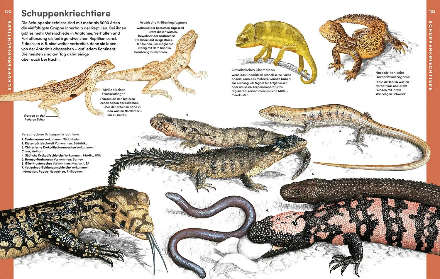 Bild: 9783440177945 | Der große Kosmos Tieratlas | Buch | 192 S. | Deutsch | 2024