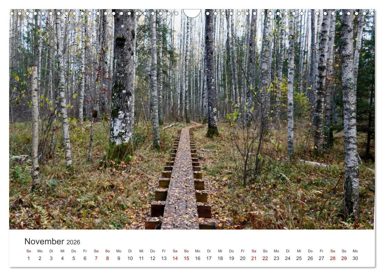 Bild: 9783457937945 | Estland - Pittoreske Schönheit im Baltikum (Wandkalender 2026 DIN...
