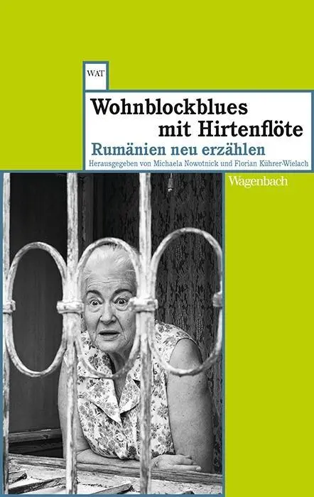 Cover: 9783803127945 | Wohnblockblues mit Hirtenflöte | Rumänien neu erzählen | Taschenbuch