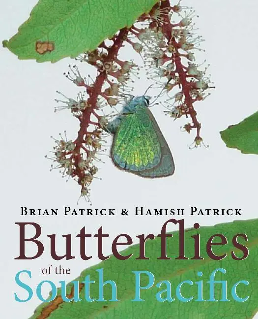 Cover: 9781877578045 | Butterflies of the South Pacific | Brian Patrick | Buch | Gebunden