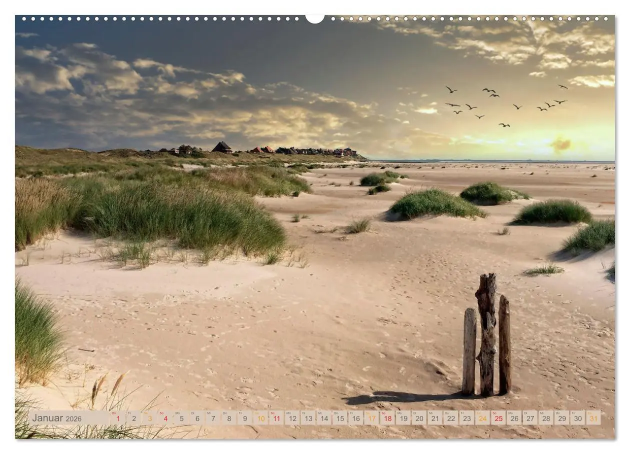 Bild: 9783457448045 | Nordsee-Urlaub (hochwertiger Premium Wandkalender 2026 DIN A2...