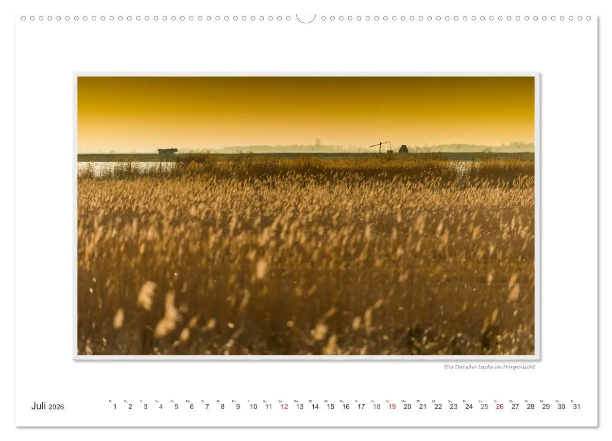 Bild: 9783516228045 | Neusiedler See / CH-Version (Wandkalender 2026 DIN A2 quer),...