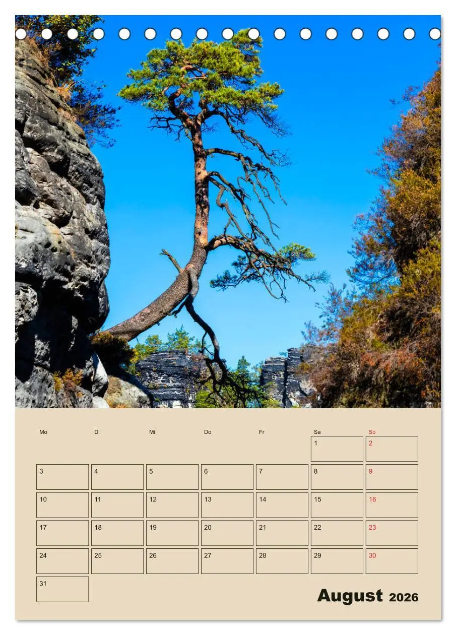 Bild: 9783516398045 | Zauberhafte Sächsische Schweiz (Tischkalender 2026 DIN A5 hoch),...