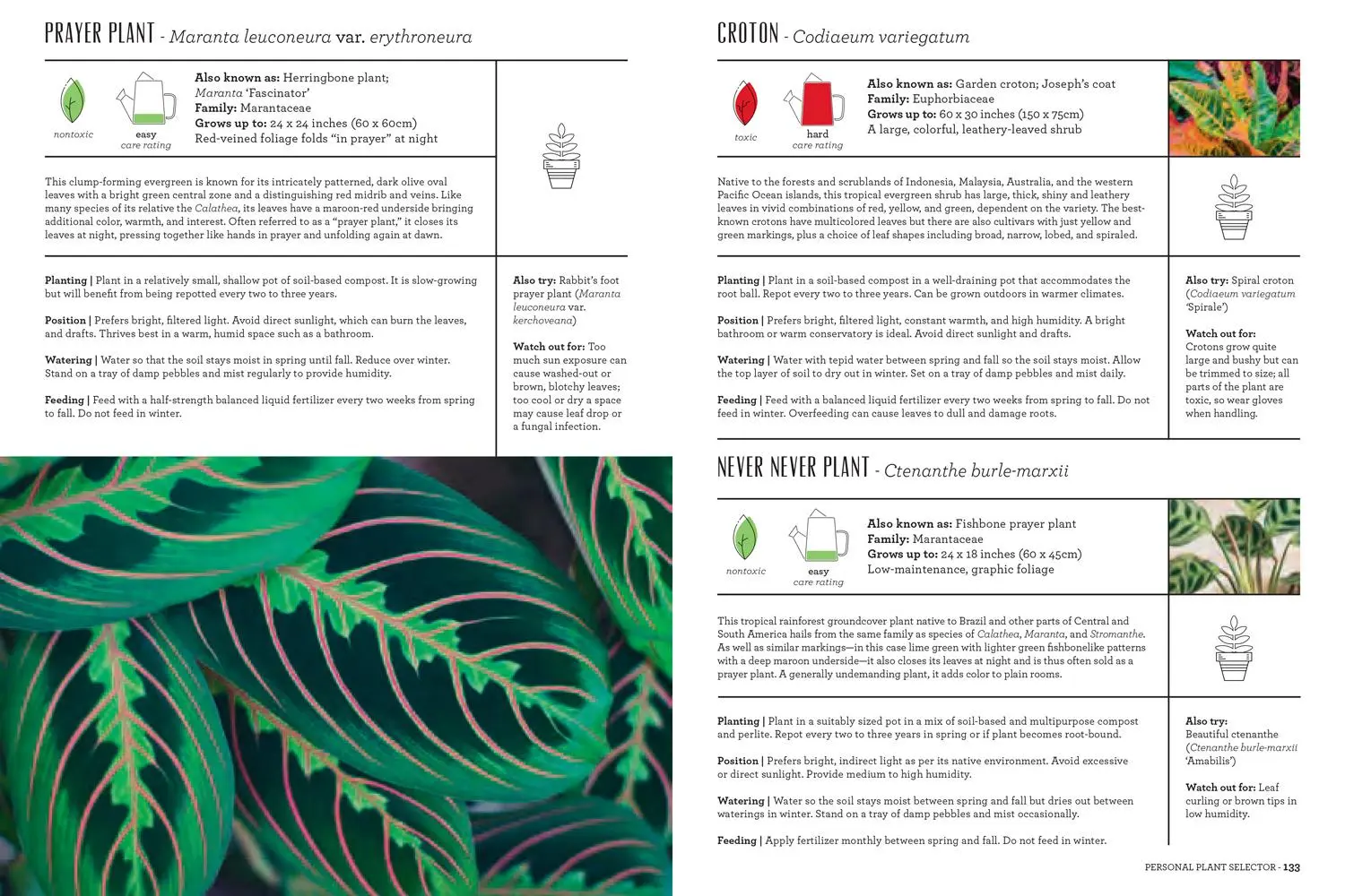 Bild: 9780008498245 | The Modern Gardener | Sonya Patel Ellis | Buch | Gebunden | Englisch