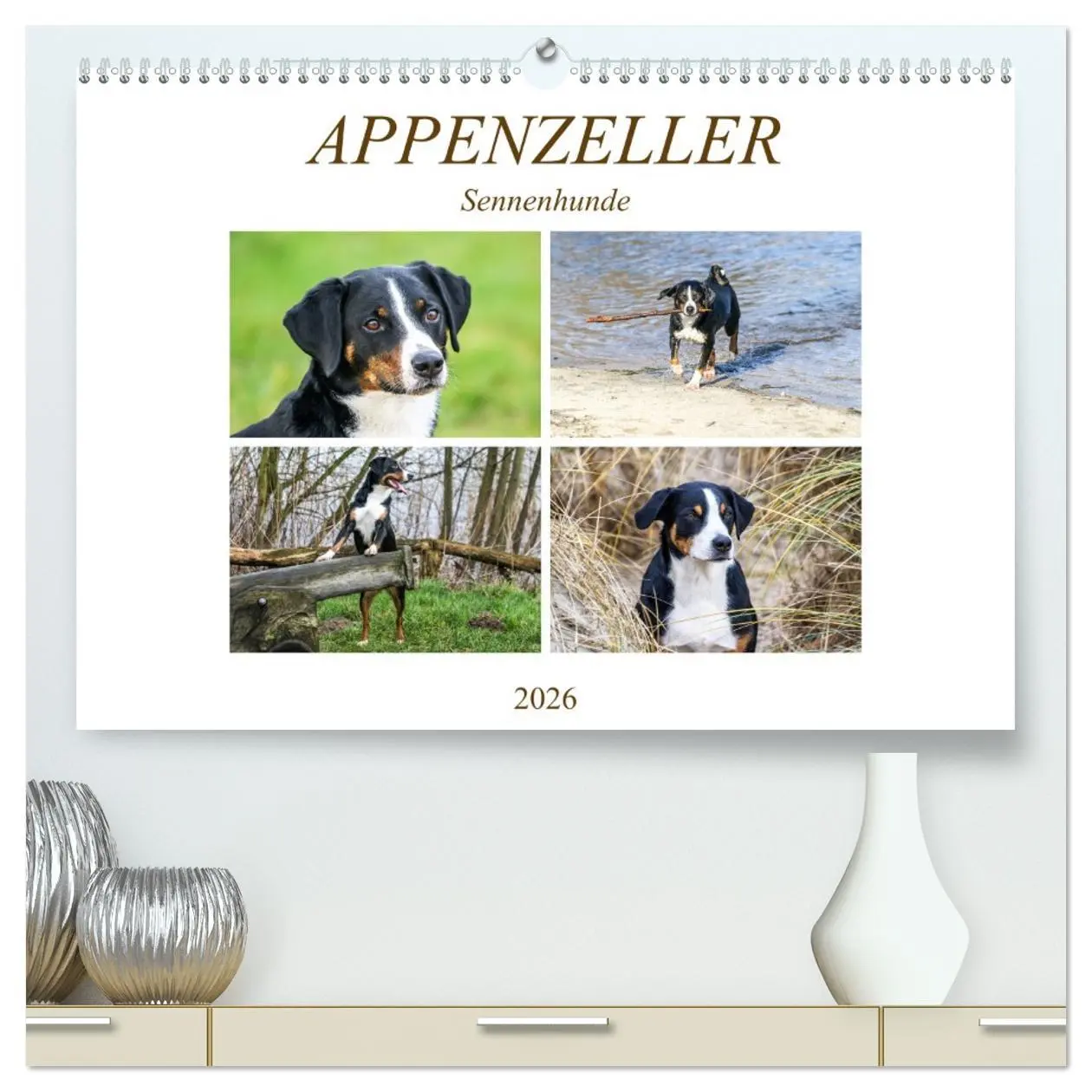Cover: 9783457728345 | Appenzeller Sennenhunde (hochwertiger Premium Wandkalender 2026 DIN...