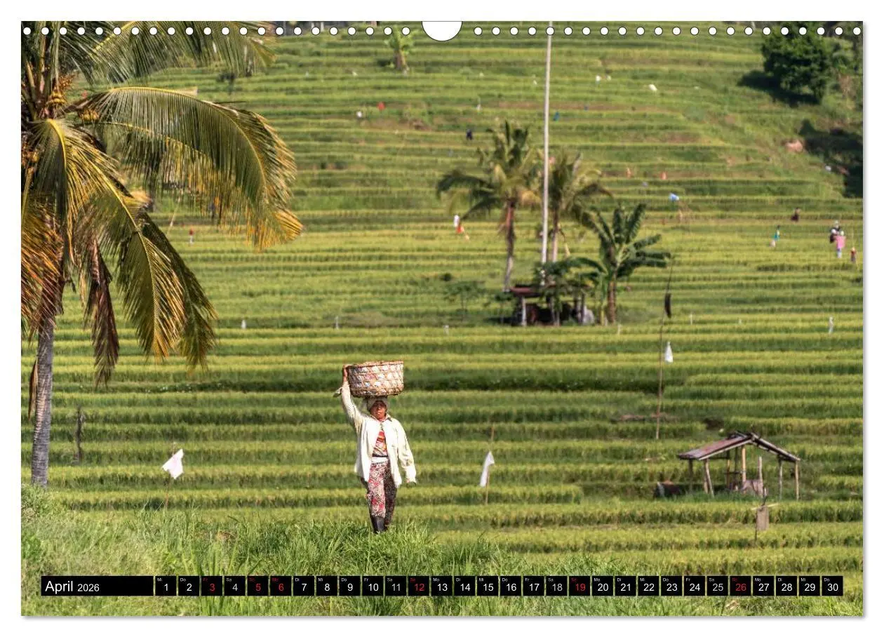 Bild: 9783457968345 | Bali - Indonesien (Wandkalender 2026 DIN A3 quer), CALVENDO...