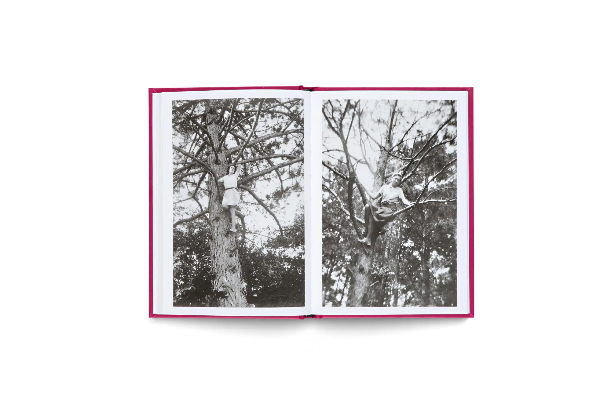 Bild: 9783775758345 | Women in Trees: Vintage Photography, Nostalgic Black-and-White...