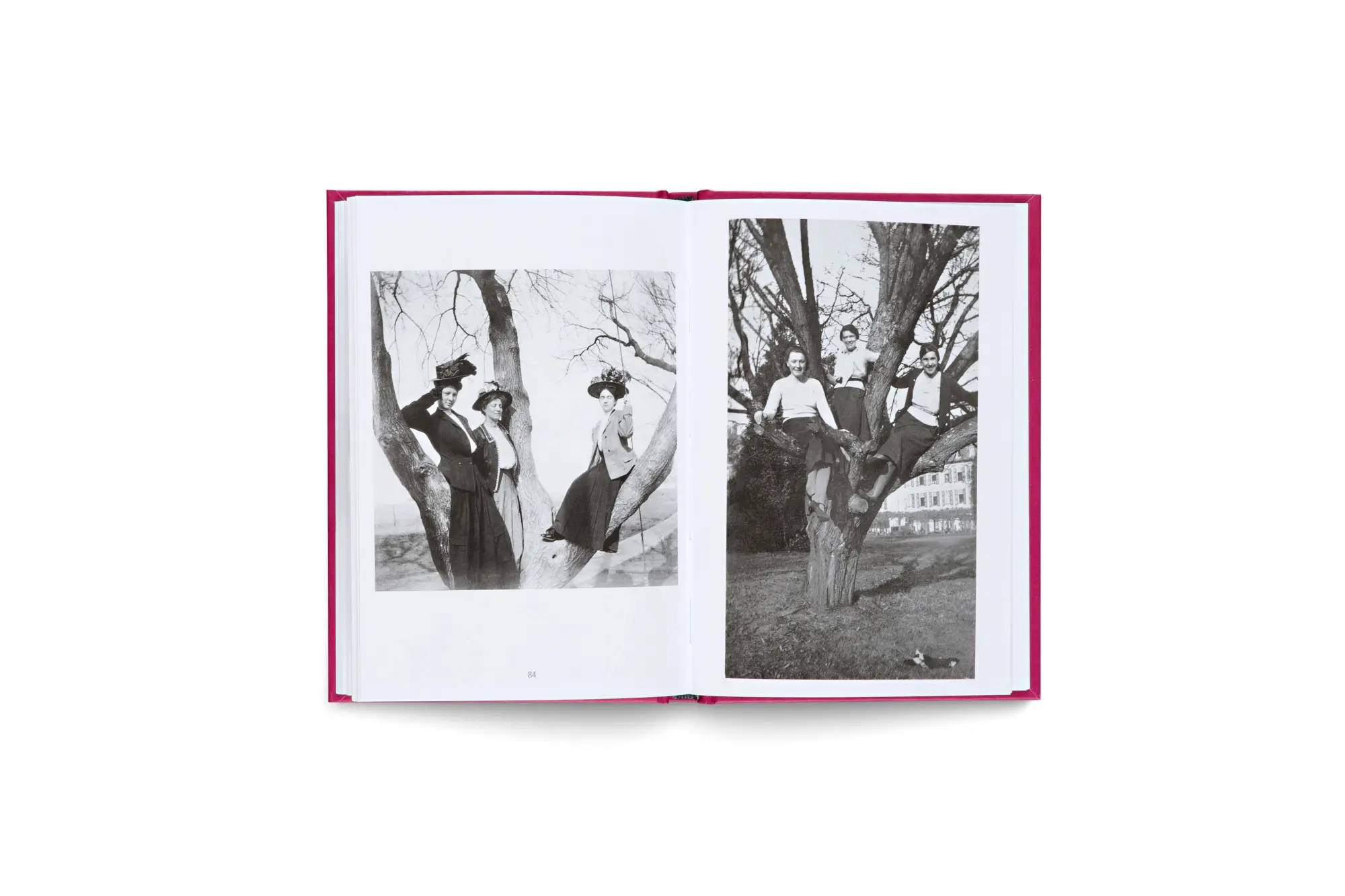 Bild: 9783775758345 | Women in Trees: Vintage Photography, Nostalgic Black-and-White...