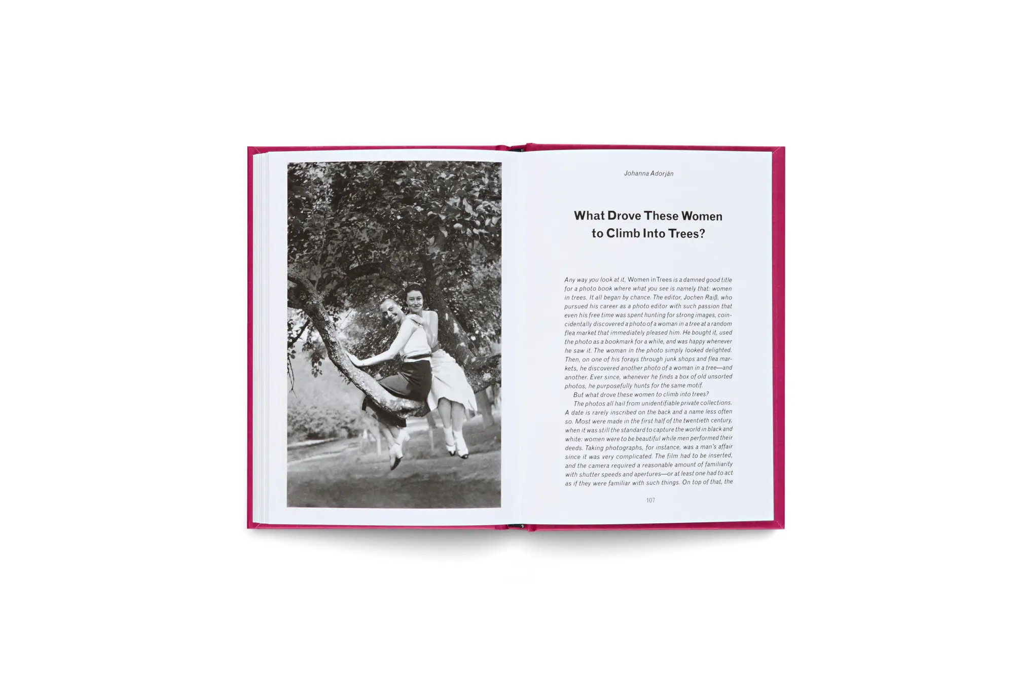 Bild: 9783775758345 | Women in Trees: Vintage Photography, Nostalgic Black-and-White...